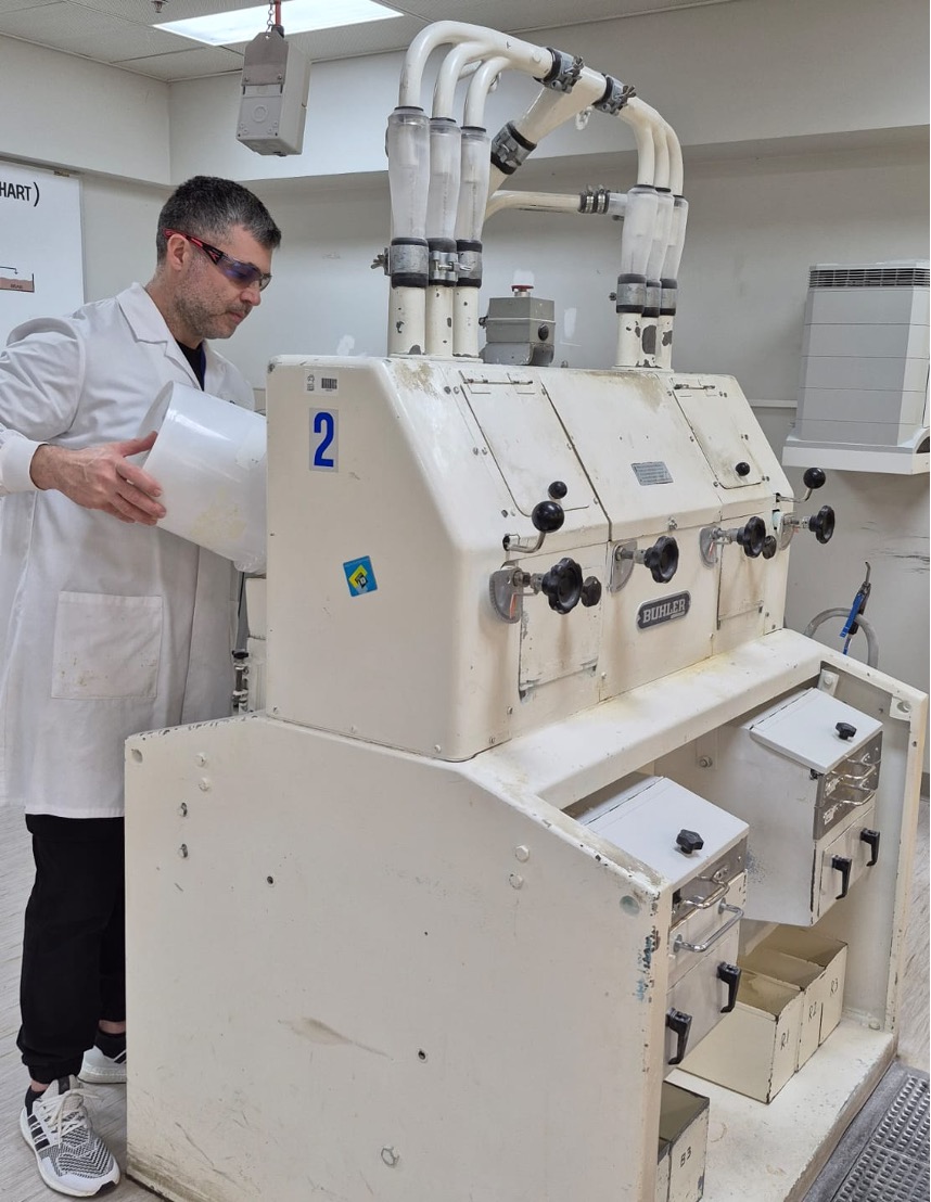 Wheat Testing Grain - Agrifood Technology